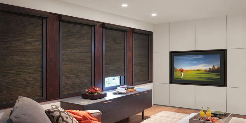Alban Roller Shades